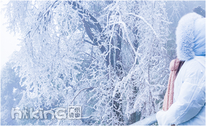 7号成行·【金子山+云冰山2天】打卡离广州最近的2大冰雪圣地:云冰山+金子山,畅玩云海秘境,赏雾淞、观冰挂2天游！