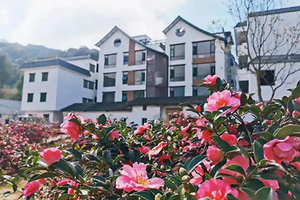 8号成行·【大型活动】3月8日，广100第一站·阿婆六国际茶花谷徒步节，藏在从化的“莫奈花园”，花海，竹林，乡村之旅