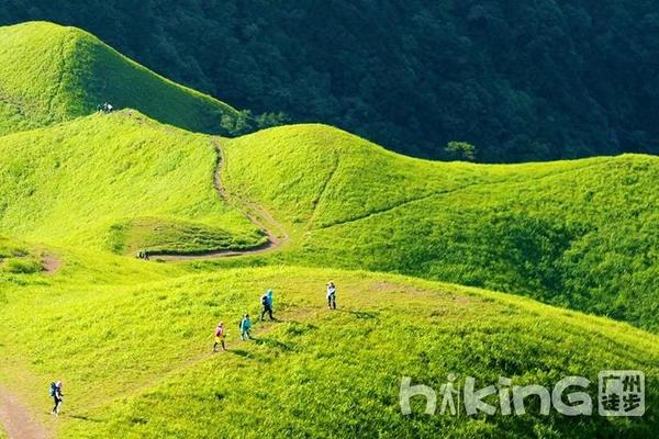 Hiking广徒【中秋·高铁·武功山】9月10号出发 | 走过天空上的草原-武功山，观星空赏云海凝望日出