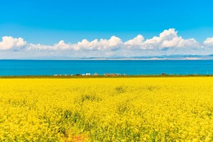 【不止于西北B线】西宁到敦煌 深度纯玩5天4晚