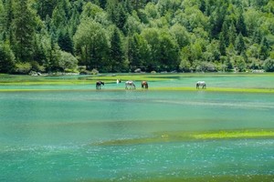 【川西小环线】轻徒步｜四姑娘山+雅拉雪山+贡嘎雪山+冷嘎措5日徒步活动