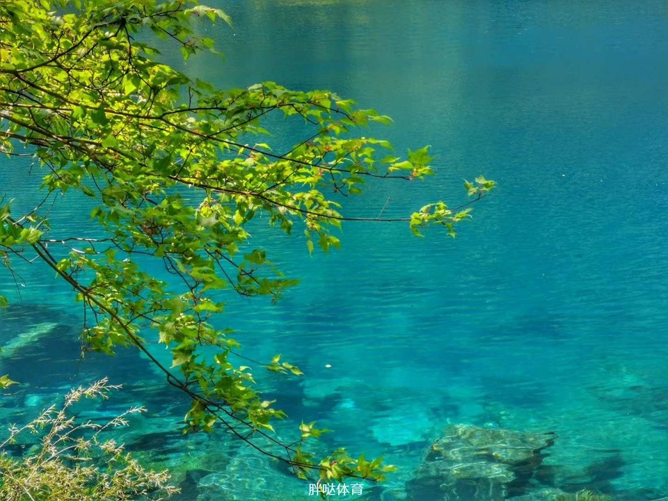 614701597311132_.pic