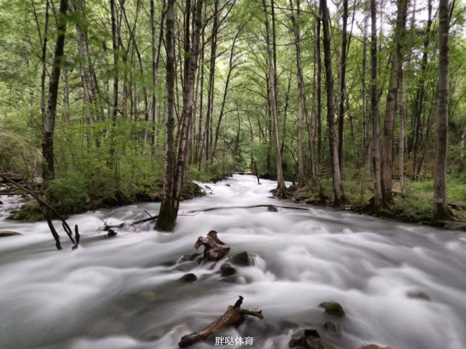 614741597311143_.pic