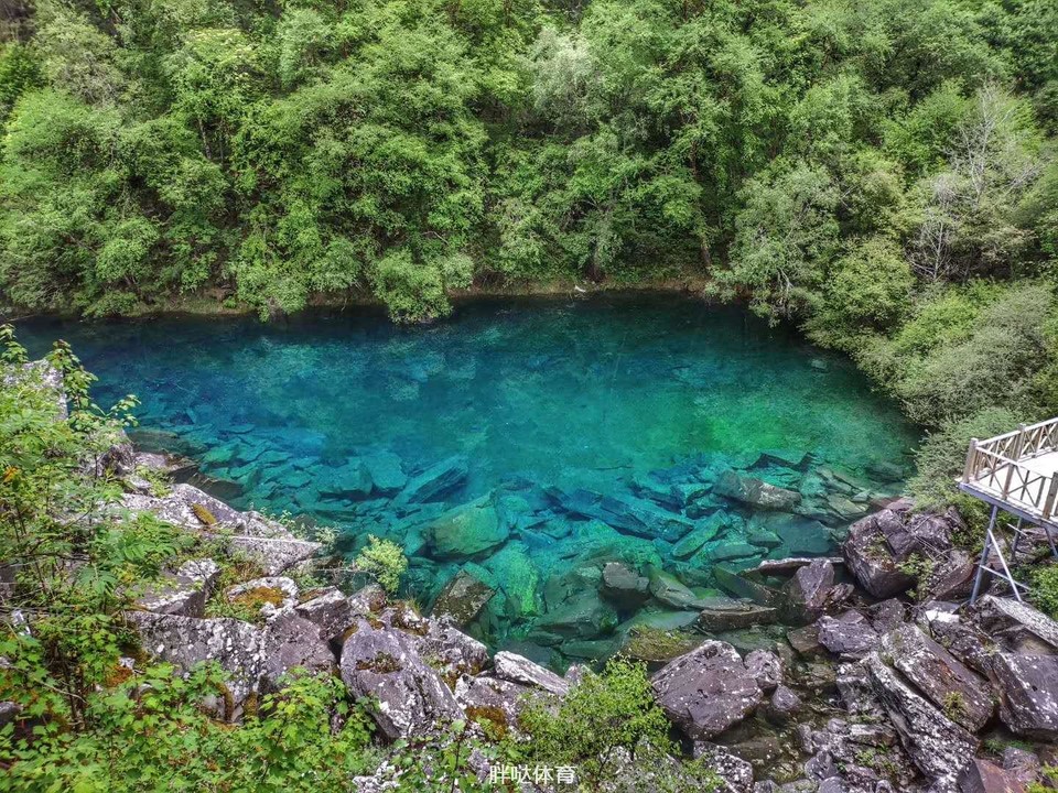 614761597311151_.pic