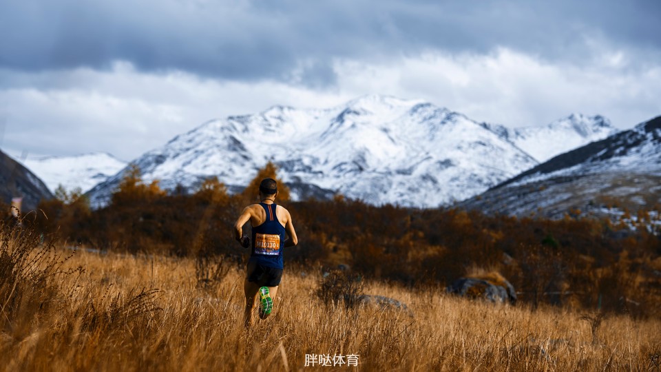 441603955078_.pic_hd