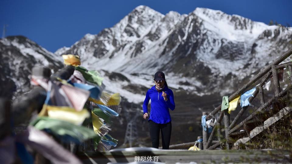 461603955159_.pic_hd