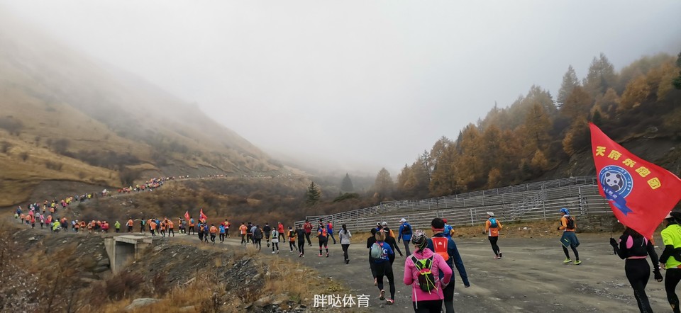 831603956368_.pic_hd