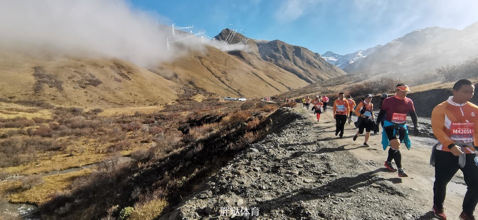 841603956412_.pic_hd