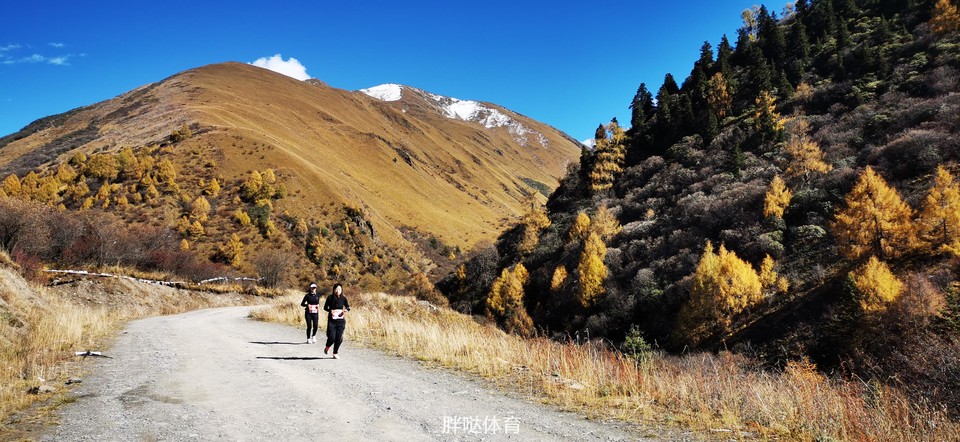 871603956532_.pic_hd