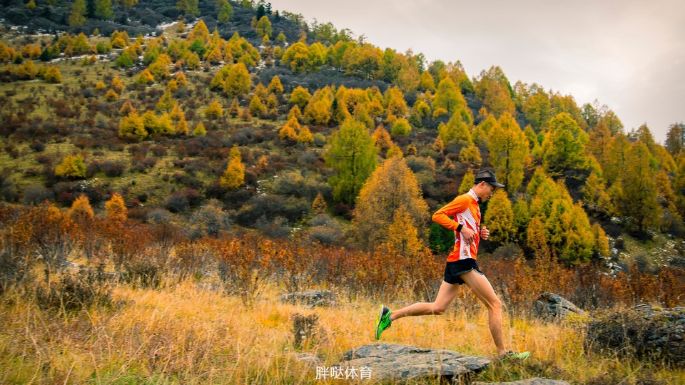 1031603957412_.pic_hd