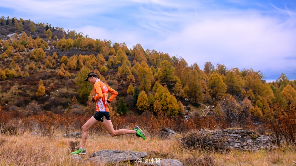 1041603957432_.pic_hd