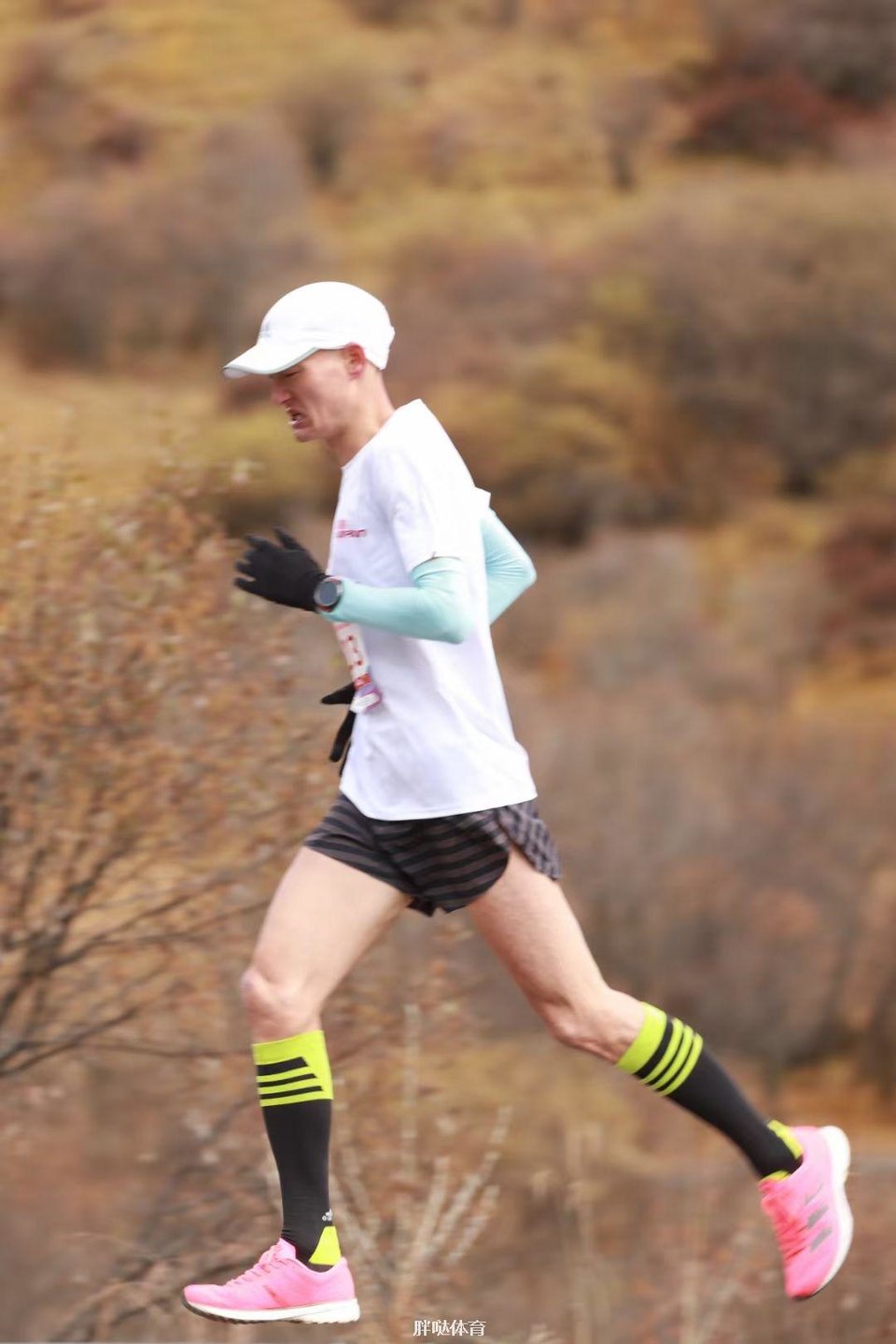 1201603957634_.pic_hd