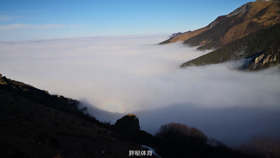 12391546156079_.pic_hd