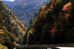 首届川西红叶超级山地马拉松  理县·米亚罗