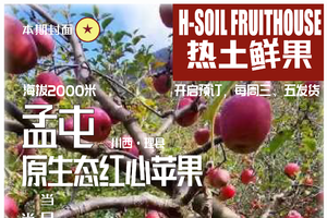 【特产】阿坝州孟屯糖心苹果（已售罄）