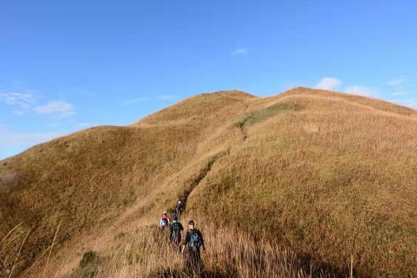  【小武功山】11.27晚-28 惠东拉胡线穿越，金色大草坡
