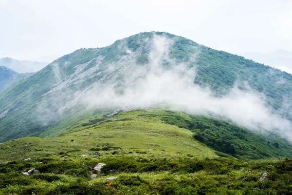 7月22日(周六)||草链岭登顶东秦岭第一高峰，探寻洛河源