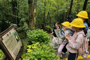 【亲子团·5天】神农架·江山森灵与金丝猴对视、探原始森林秘境，解锁自然成长密码！