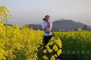 —建业集团杯 周口马拉松—