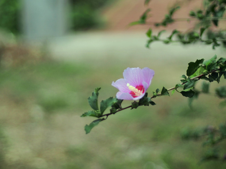 P9190135.jpg