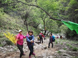 mmexport1556724329611