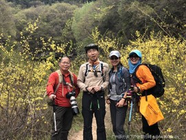 mmexport1556724522363