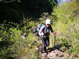 mmexport1557015973706