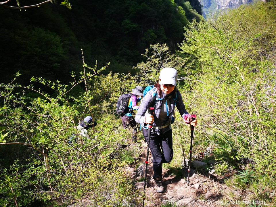 mmexport1557015973706