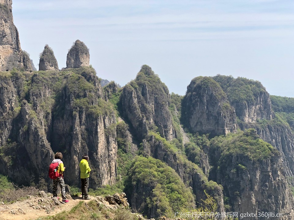 mmexport1557016402556