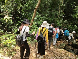 IMG_20190511_120836