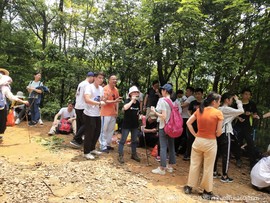 IMG_20190511_121523
