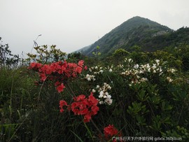 IMG_20190511_150223