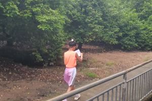 2023.09.10杨桃公园定向课程2