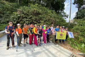 志愿者信息收集