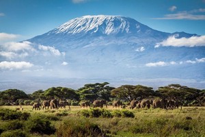 2.6-13|（已成行）攀登非洲之巅，触摸乞力马扎罗的雪