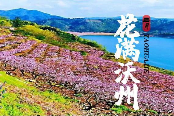 1+1户外 | 摄影·徒步【桃花+油菜花】3月23日梦起沃洲湖，邂逅桃花源；油菜花如海，享静谧自然