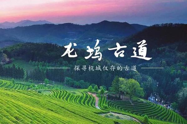 1+1户外 | 4月16日行走山脊，登顶五潮山，探索杭城仅存古道【龙坞古道】