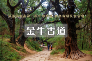 【端午3日｜徒步古蜀道】对话翠云廊-踏金牛古道-登剑门雄关の赴一场三千年蜀道徒步之约（可亲子）