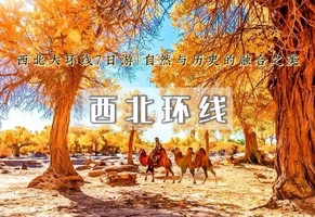 【国庆7日 | 西北环线】额济纳经典大环线の青海湖-茶卡-翡翠湖-敦煌-莫高窟-七彩丹霞7日深度游
