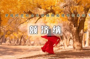 【国庆5天大巴团｜额济纳胡杨林】为千年胡扬林而来の额济纳-黑城怪树林-居延海-中蒙边境