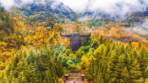 【全景·秋醉神峡】六天五晚 枕神农架大九湖雾色·揽三峡之巅红涛