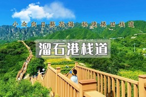 【周末1日｜溜石港栈道】闯进梵高的调色盘｜秋日限定浪漫-打卡网红向日葵花海-梯田栈道
