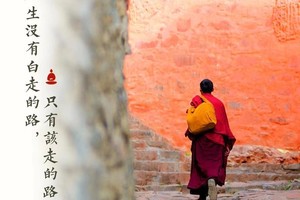 【周末2日•禅意五台山】聆听禅说的朝圣·烧香祈福·天天发团·休闲2日游！