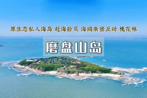 【周末2日｜磨盘山岛】私人梦幻岛屿&海边露营-赶海捡海螺-抓螃蟹-观星看海空-环岛徒步休闲游