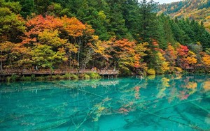 【大美九寨】川西北彩林盛宴  15人即升级摄影师+导游双人服务 · 升级3晚4钻酒店 · 九寨沟+黄龙+黑水彩林+毕棚沟