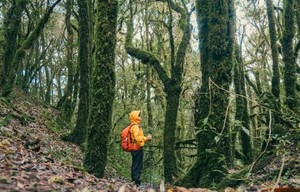 【云南虫谷】哀牢山秘境｜翁丁原始部落｜西盟龙摩爷｜勐梭龙潭｜景迈山古茶园｜翁基古寨｜景真八角亭｜7天6日边境探索之旅