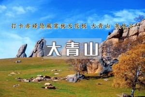 【周末2日｜大青山】美林谷-克旗大青山の避世草甸-误入塞尔达无人世界の小众徒步圣地