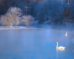 【雪域伊犁】7天6晚6人团丨乌鲁木齐-丝绸之路滑雪-赛里木湖环围炉煮茶+轻旅拍-那拉提自驾-库尔德宁-天鹅泉-安集海峡谷
