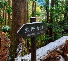 【日本熊野古道6日】中边路50km全踏破（包车经济版），用脚步感受千年古道文化