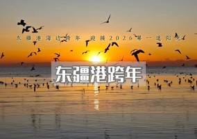 【元旦2日｜天津跨年】东疆港海边日出•迎接2026年曙光の西伯利亚海鸥-打卡天津网红点（休闲）